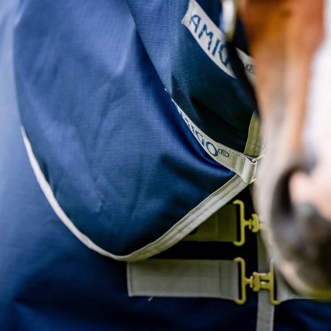 Ako vybrať deky pre kone - je mu zima alebo teplo